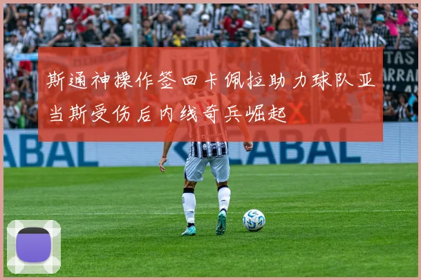 斯通神操作签回卡佩拉助力球队亚当斯受伤后内线奇兵崛起